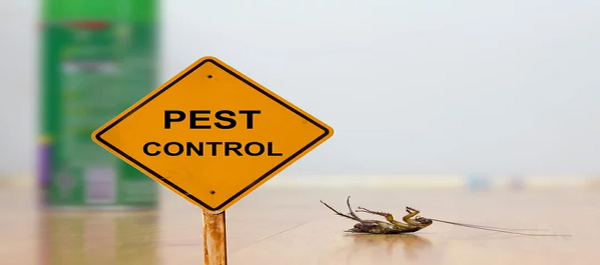 About Exterminex Pest Control Inc.